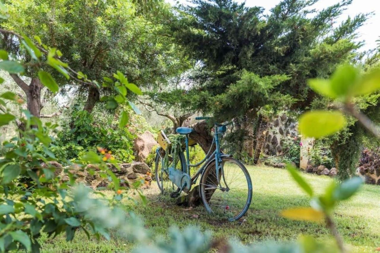 Villa Con Immenso Giardino Orosei Buitenkant foto